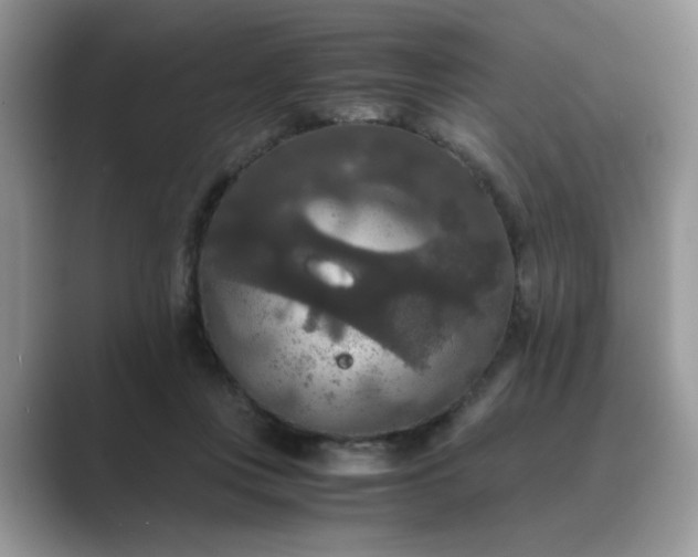 X0000089670359200707051552