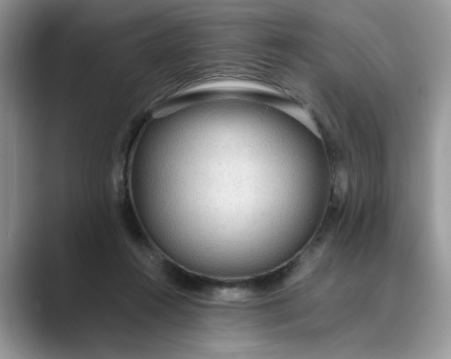 X0000089670360200707051552