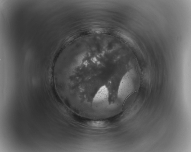 X0000089670361200707051552