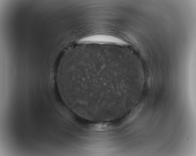 X0000089670366200707051552