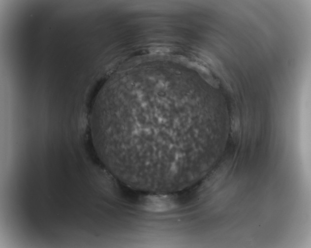 X0000089670367200707051553
