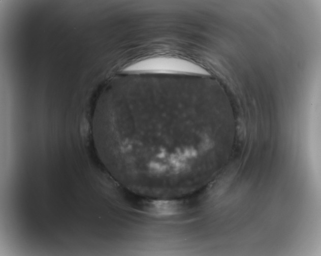 X0000089670371200707051553