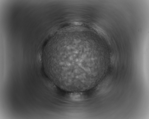 X0000089670373200707051553