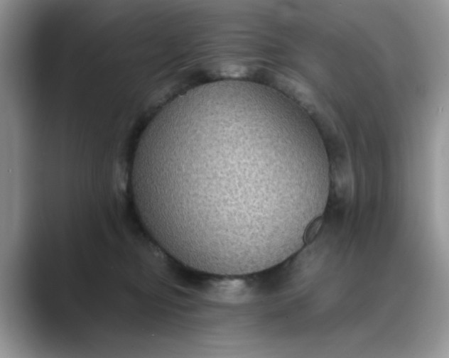 X0000089670374200707051553