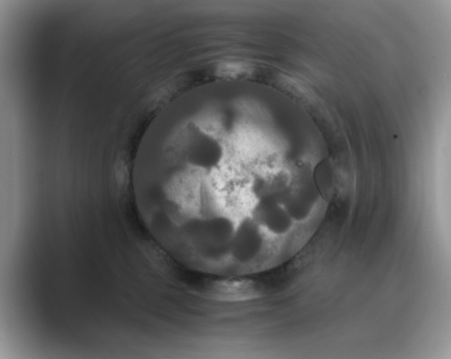 X0000089670375200707051553