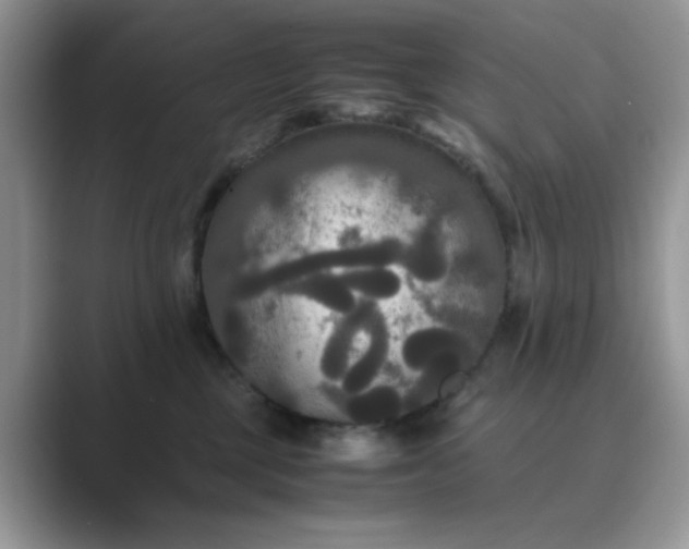 X0000089670377200707051553