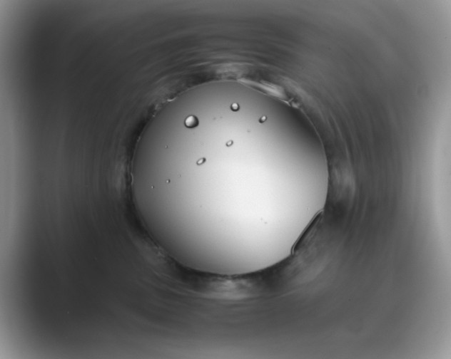 X0000089670379200707051553