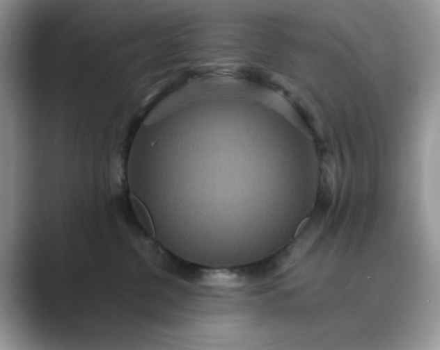 X0000089670380200707051553