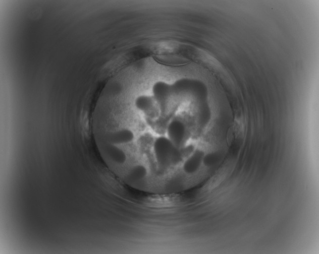 X0000089670381200707051553