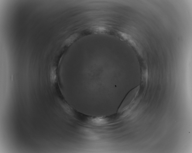 X0000089670383200707051553