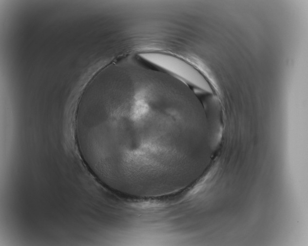 X0000089670385200707051552