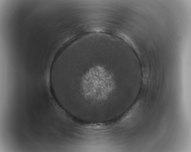 X0000089670386200707051552