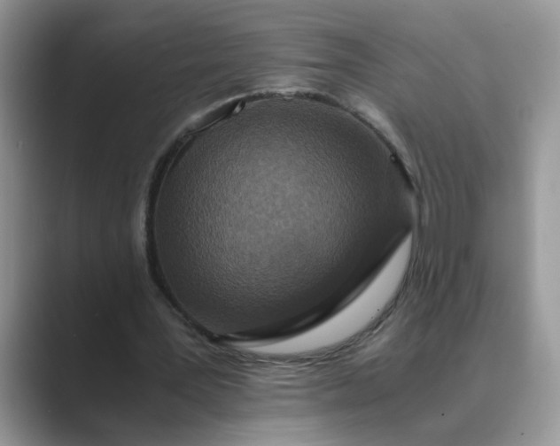 X0000089670387200707051552