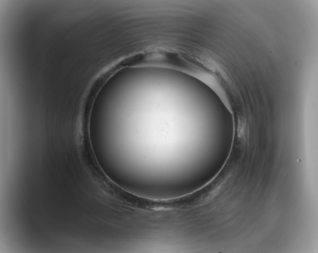 X0000089670388200707051552