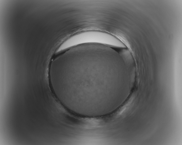 X0000089670389200707051552