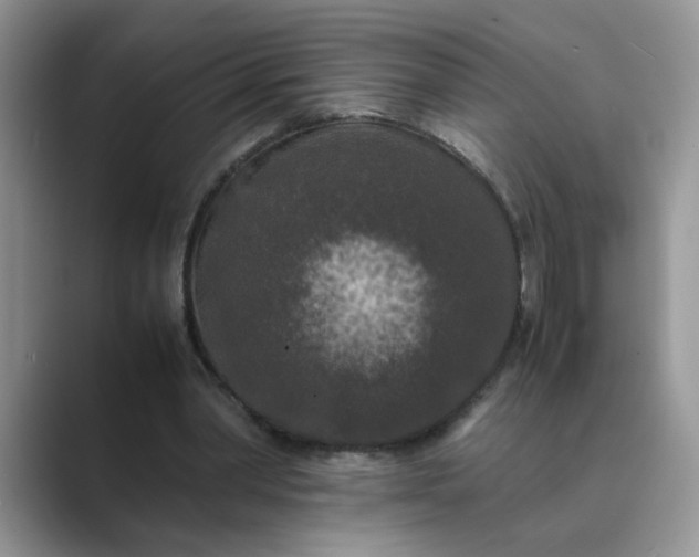 X0000089670390200707051552
