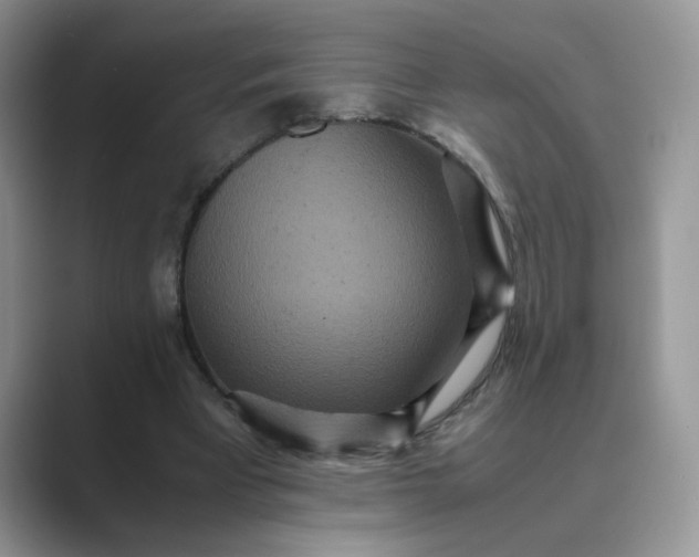 X0000089670393200707051552