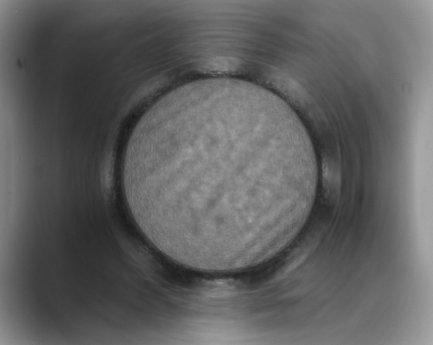 X0000089670396200707051552