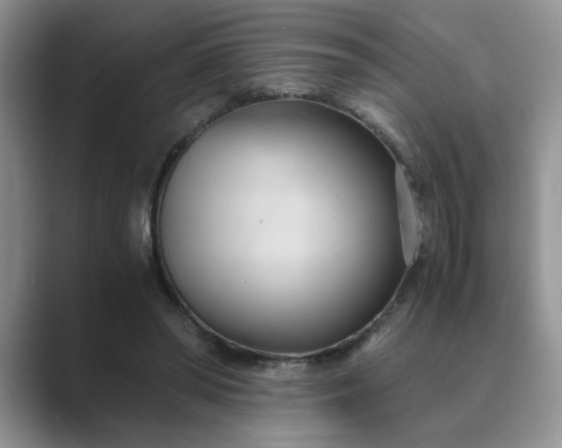 X0000089670398200707051552