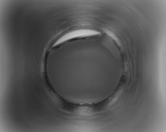 X0000089670399200707051552