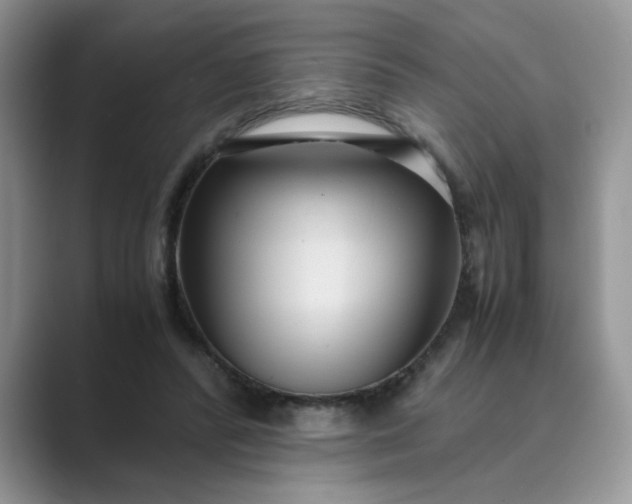 X0000089670400200707051552