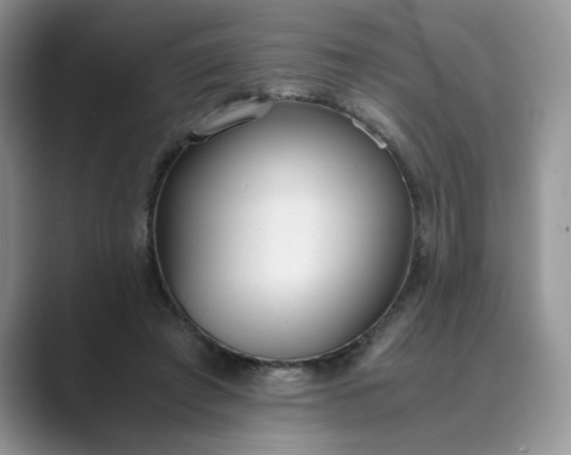 X0000089670401200707051552