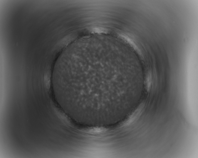 X0000089670402200707051552