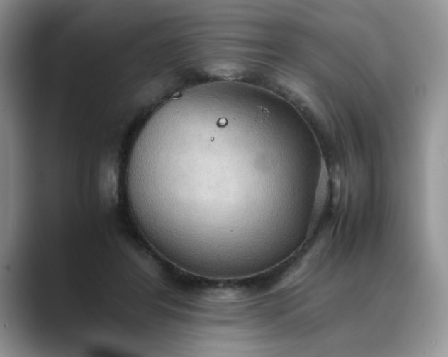 X0000089670404200707051552