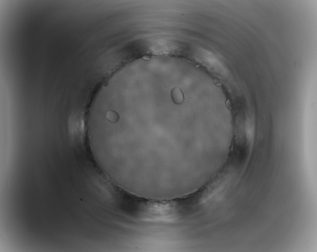 X0000089670405200707051552