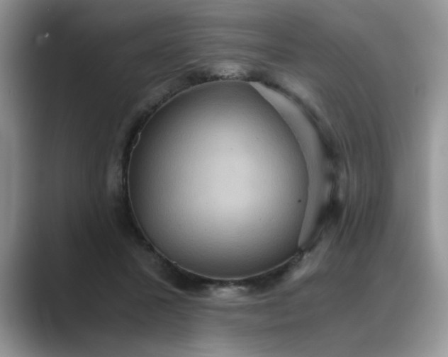 X0000089670407200707051552