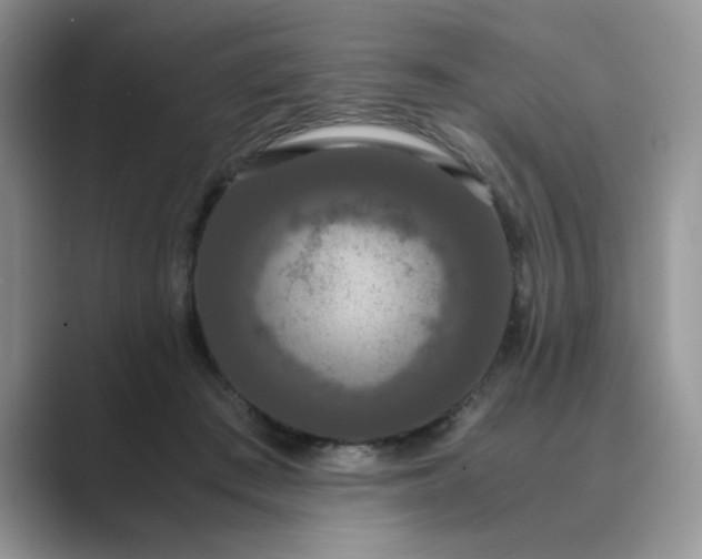 X0000089670409200707051552