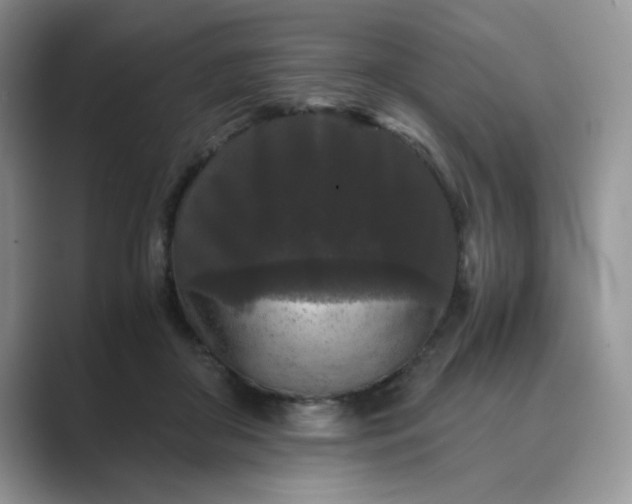 X0000089670410200707051552