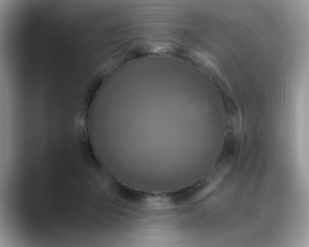 X0000089670415200707051552