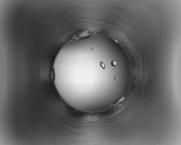X0000089670416200707051552
