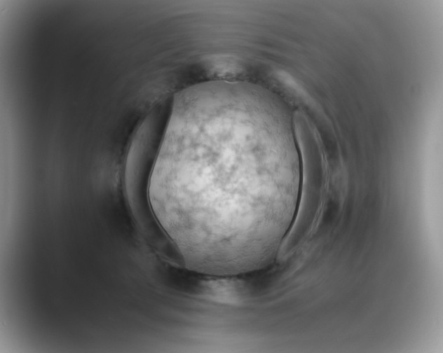 X0000089670417200707051552