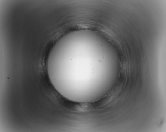 X0000089670418200707051552