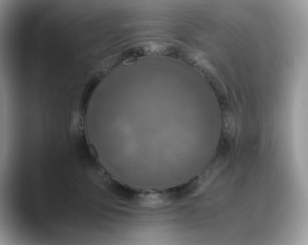 X0000089670419200707051552