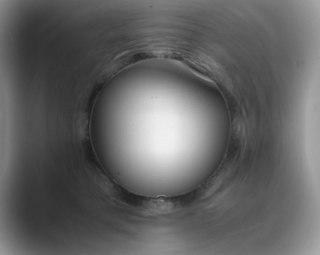X0000089670421200707051552