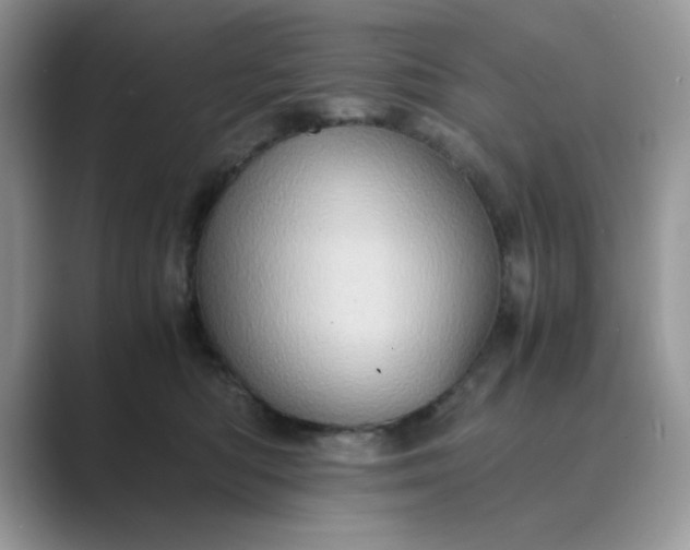 X0000089670422200707051552