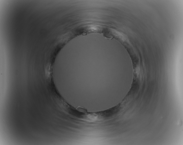X0000089670423200707051552