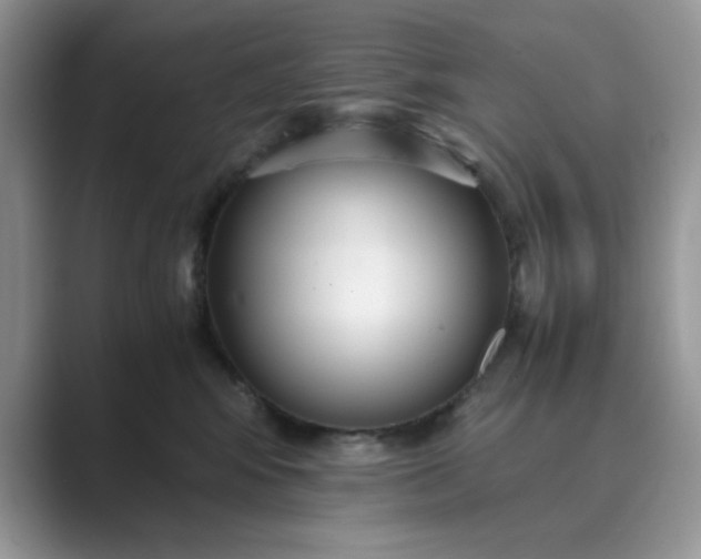 X0000089670424200707051552