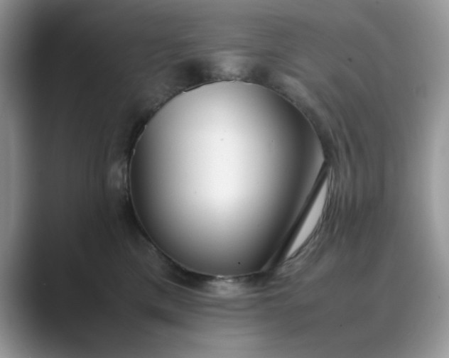 X0000089670425200707051552