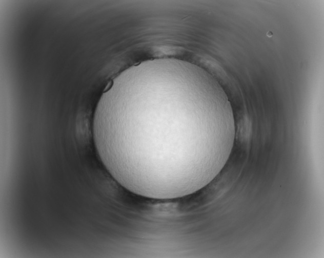 X0000089670426200707051552