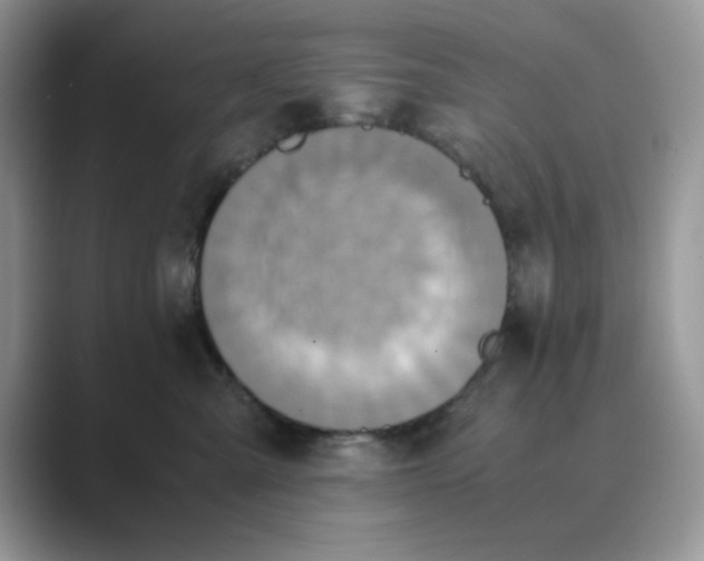 X0000089670427200707051552