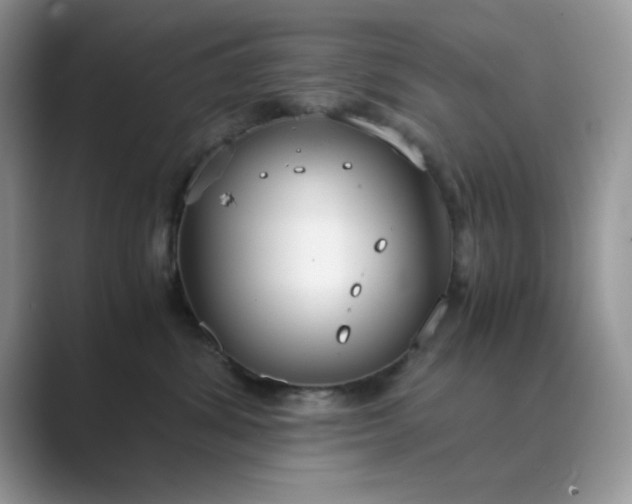 X0000089670428200707051552
