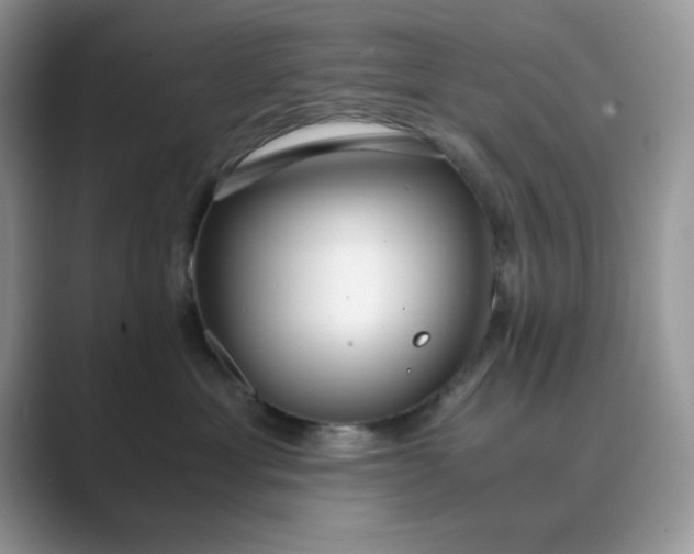 X0000089670429200707051552