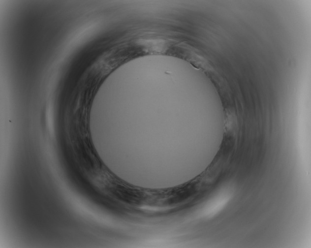 X0000089670431200707051552