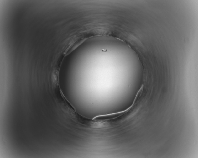 X0000089670432200707051552