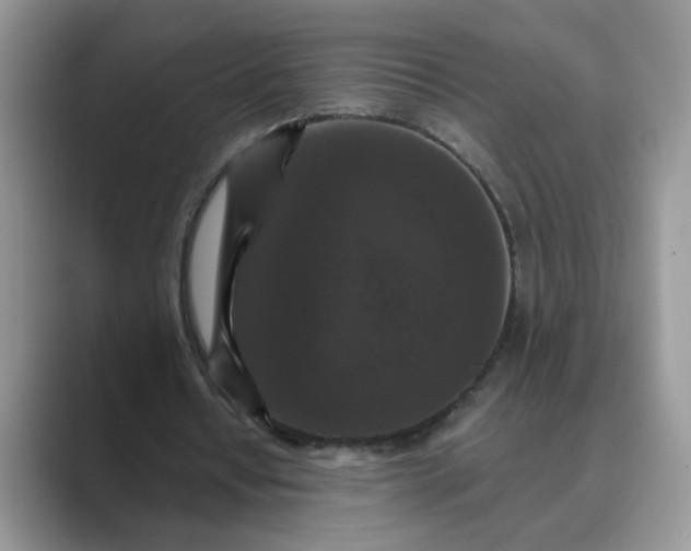 X0000089670434200707051551