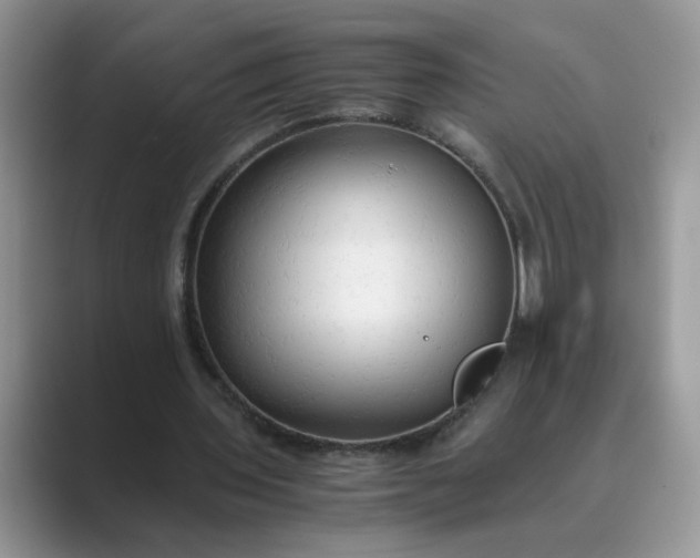 X0000089670435200707051551